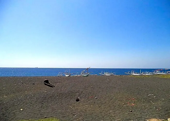 Kadek Amed